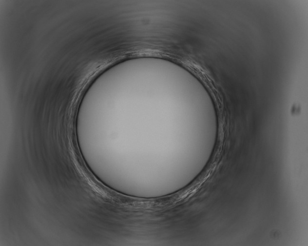 X0000091670049200708231022