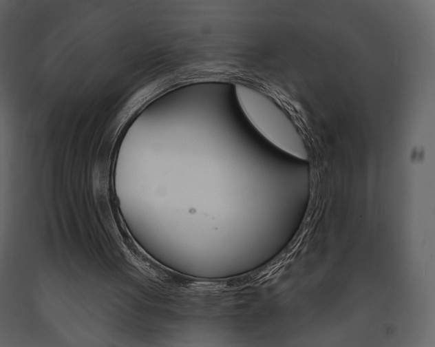 X0000091670051200708231022