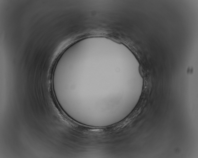 X0000091670053200708231022