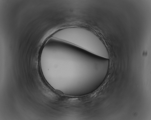 X0000091670054200708231022