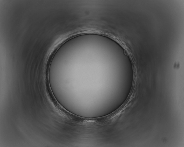 X0000091670055200708231022