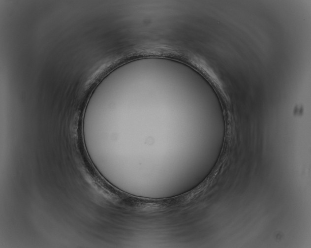 X0000091670058200708231022
