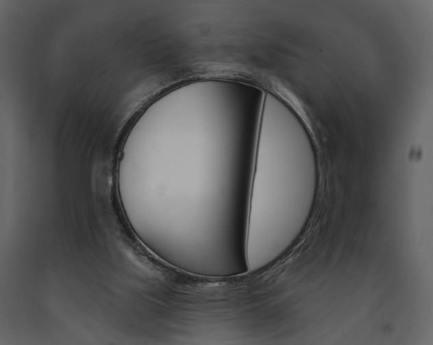 X0000091670059200708231022