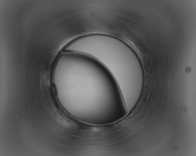 X0000091670060200708231023
