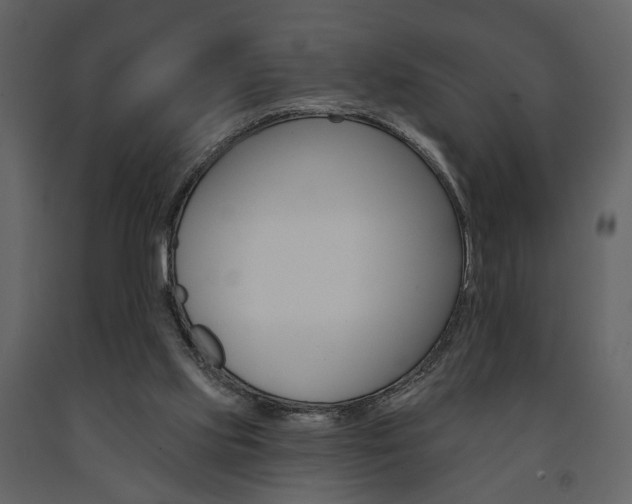 X0000091670061200708231023