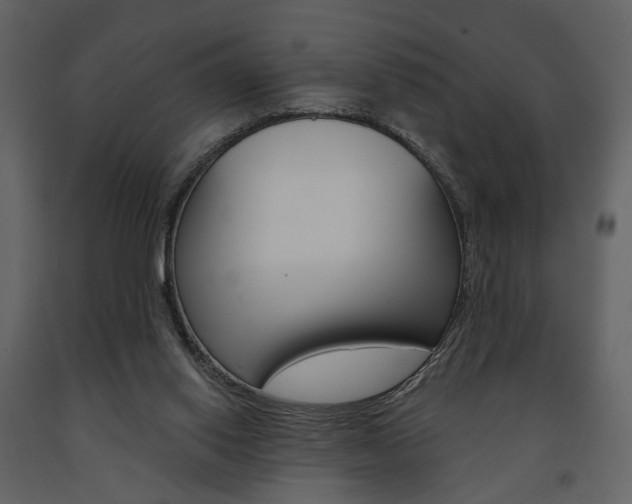 X0000091670062200708231023