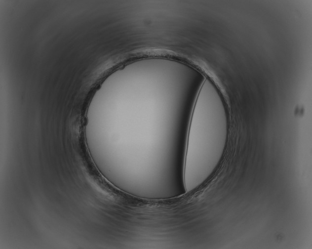 X0000091670063200708231023