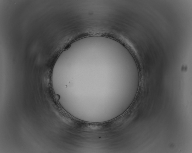 X0000091670065200708231023