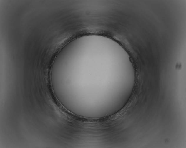 X0000091670066200708231023