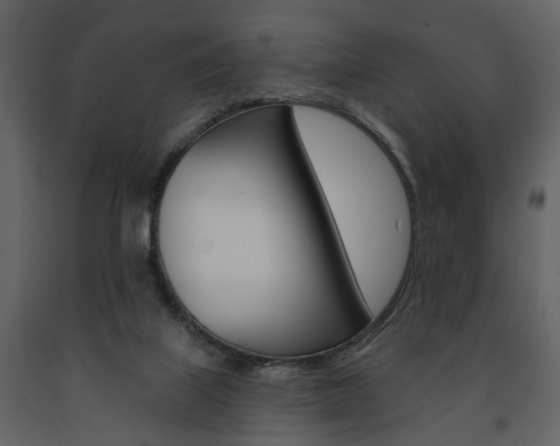 X0000091670067200708231023