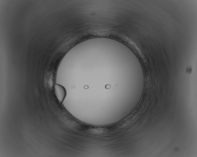 X0000091670069200708231023