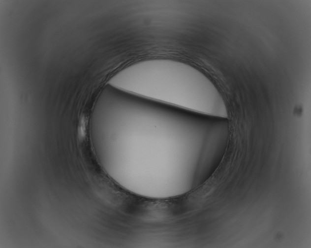 X0000091670075200708231023