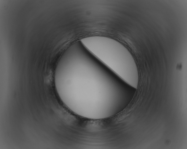 X0000091670077200708231023