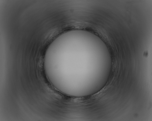 X0000091670078200708231023