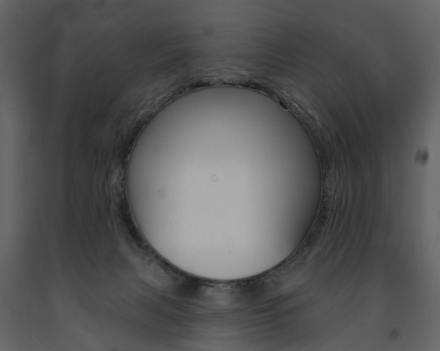 X0000091670079200708231023