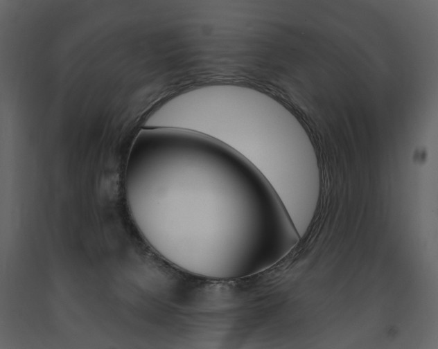 X0000091670080200708231023