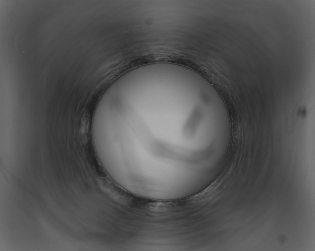 X0000091670082200708231023
