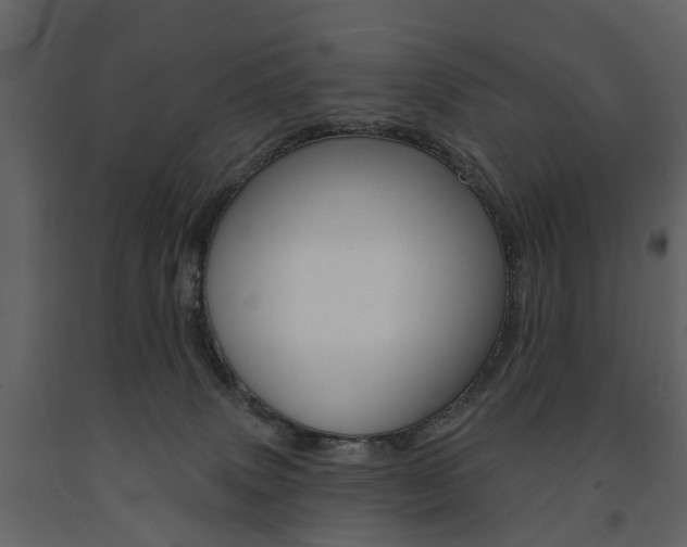 X0000091670083200708231023