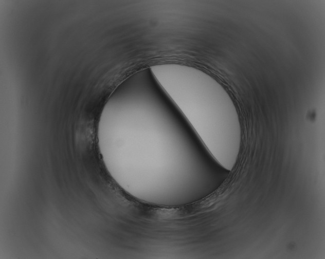X0000091670085200708231023