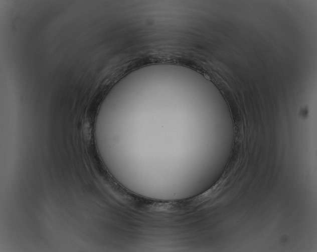 X0000091670086200708231023