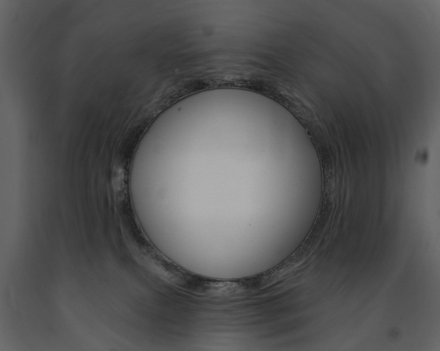 X0000091670087200708231023