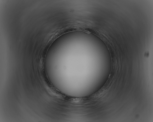 X0000091670088200708231023
