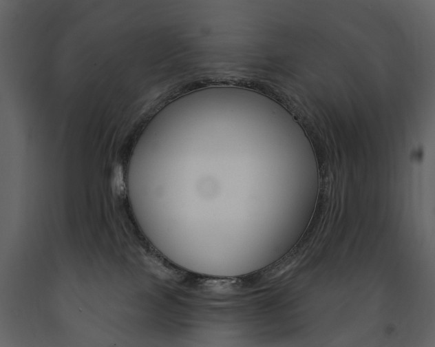 X0000091670089200708231023