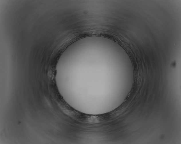 X0000091670091200708231023