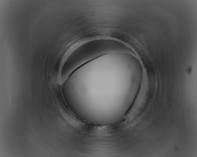 X0000091670092200708231023