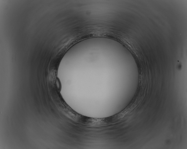 X0000091670093200708231023
