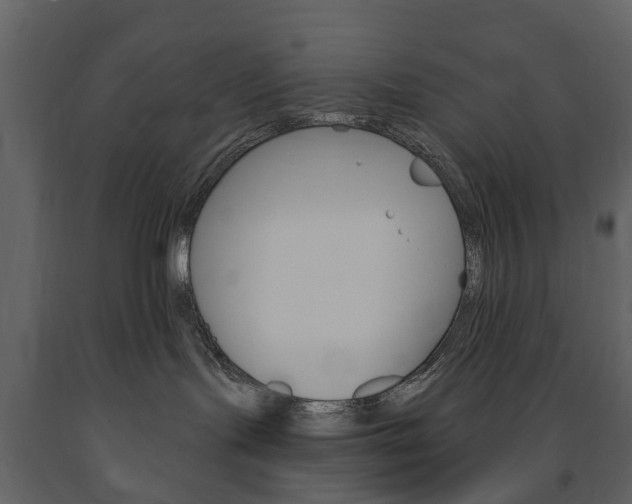 X0000091670095200708231023