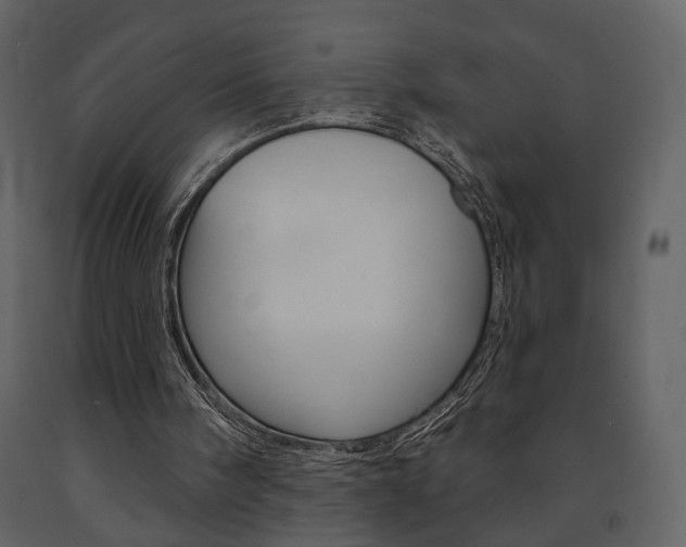 X0000091670098200708231022
