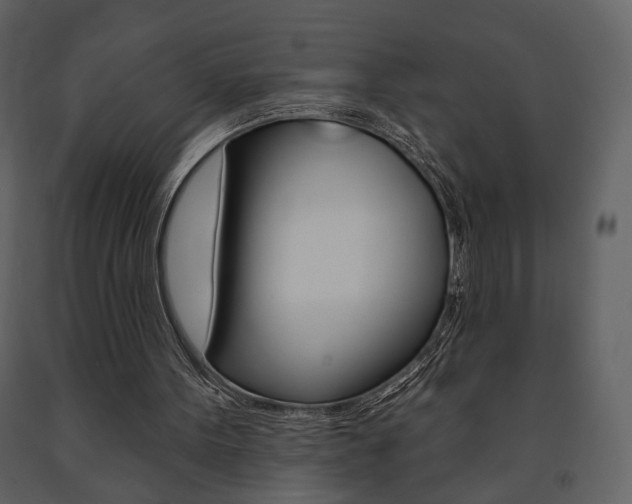 X0000091670099200708231022