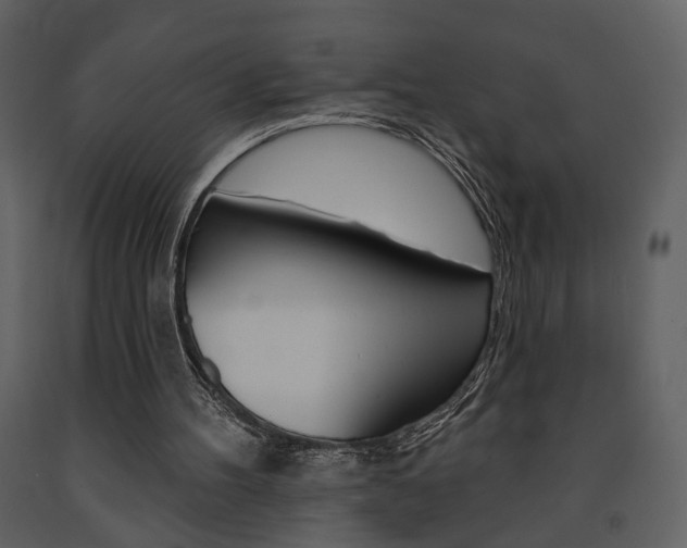 X0000091670100200708231022