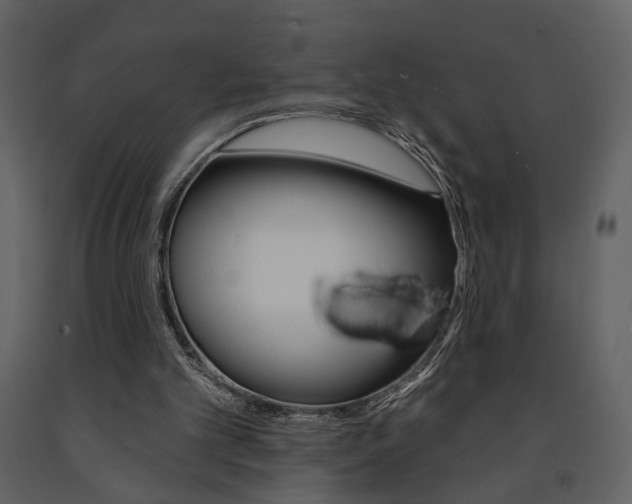 X0000091670101200708231022