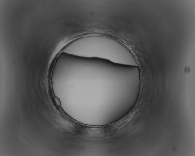 X0000091670102200708231022