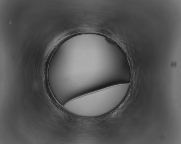 X0000091670103200708231022