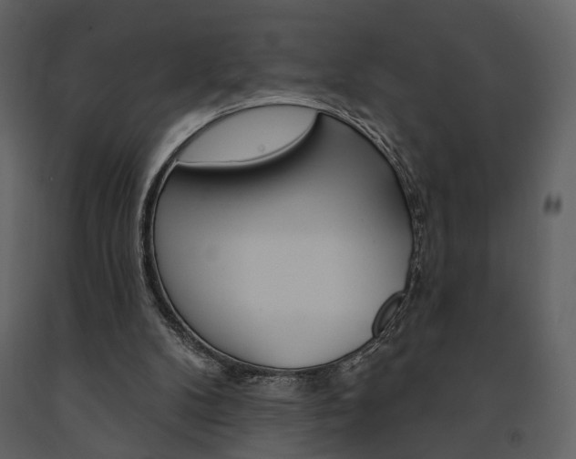 X0000091670104200708231022