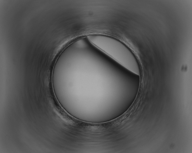 X0000091670107200708231022