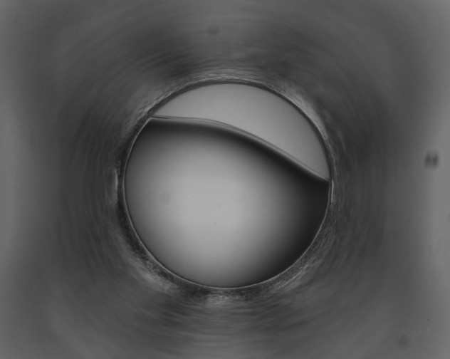 X0000091670109200708231022
