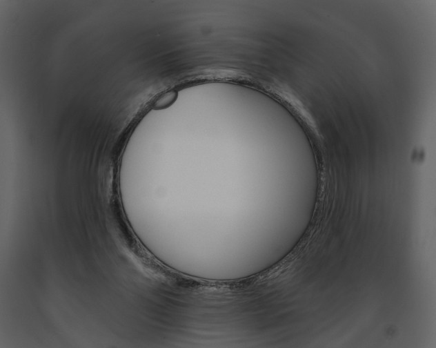 X0000091670110200708231022
