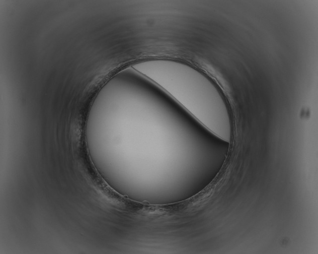 X0000091670113200708231022