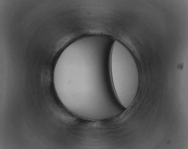 X0000091670116200708231022
