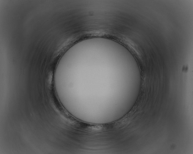 X0000091670118200708231022