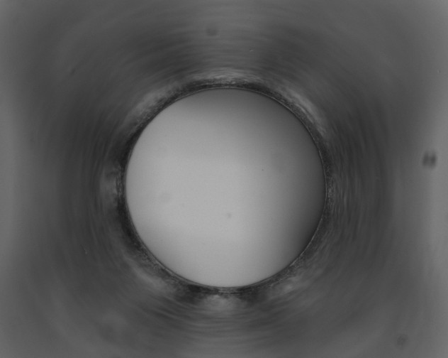 X0000091670119200708231022