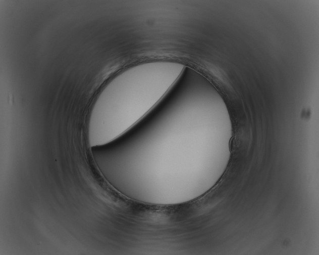 X0000091670120200708231022