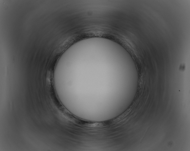 X0000091670122200708231022