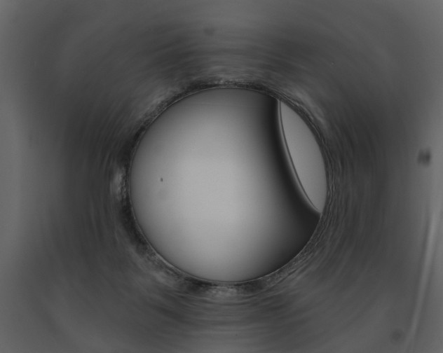 X0000091670123200708231022