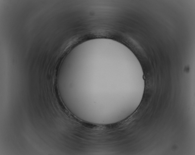 X0000091670124200708231022