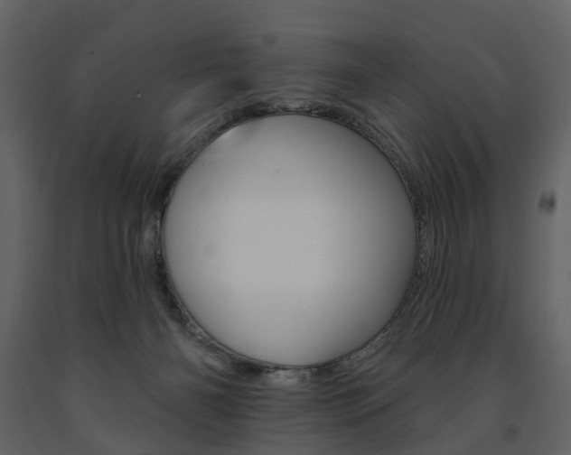 X0000091670126200708231022
